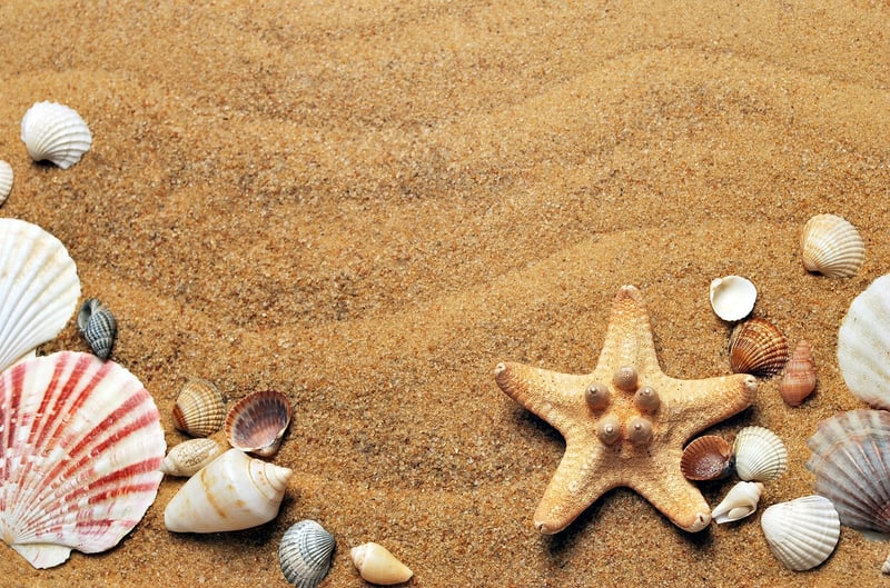 Beachfront Setting 3