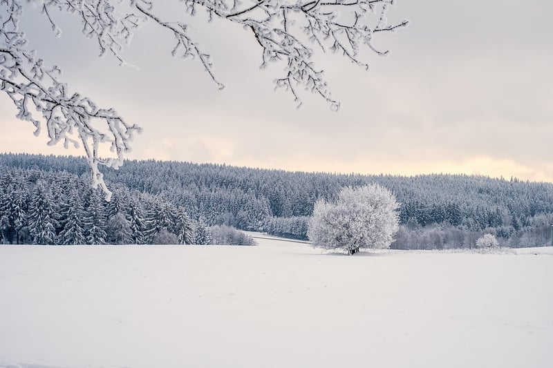 Snowflake Decorations